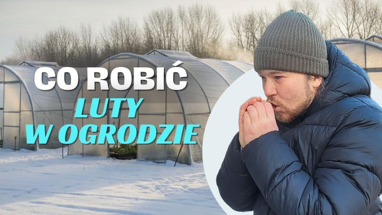 Co robić w lutym w ogrodzie?