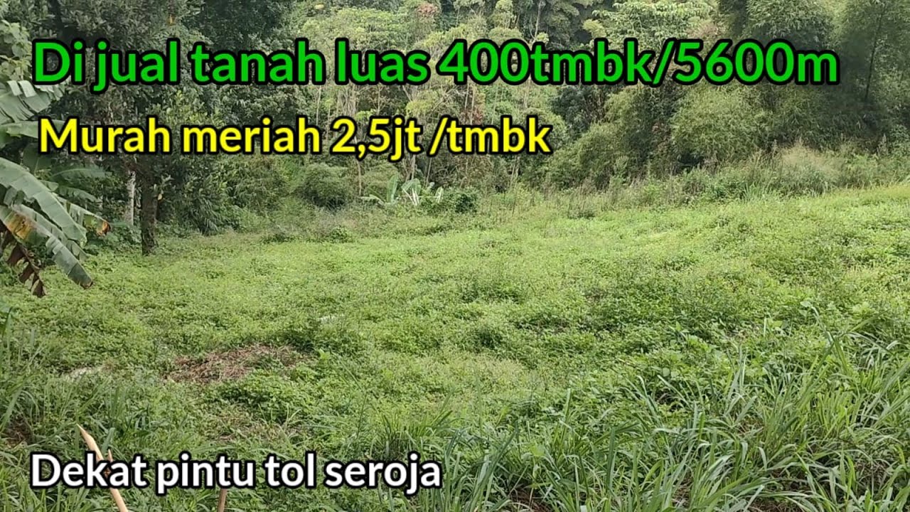 Di jual murah cuma 2,5jt/tumbak luas 400tumbak cocok buat perternakan dekat pintu TOL soreang