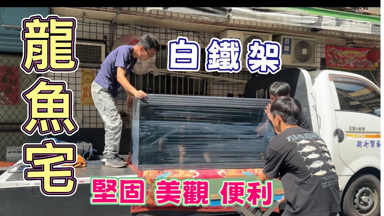 白鐵架打造堅固耐用的龍魚宅～姐の水族生活107 #養龍人 #龍魚愛好者 #客製化魚缸#龍魚宅