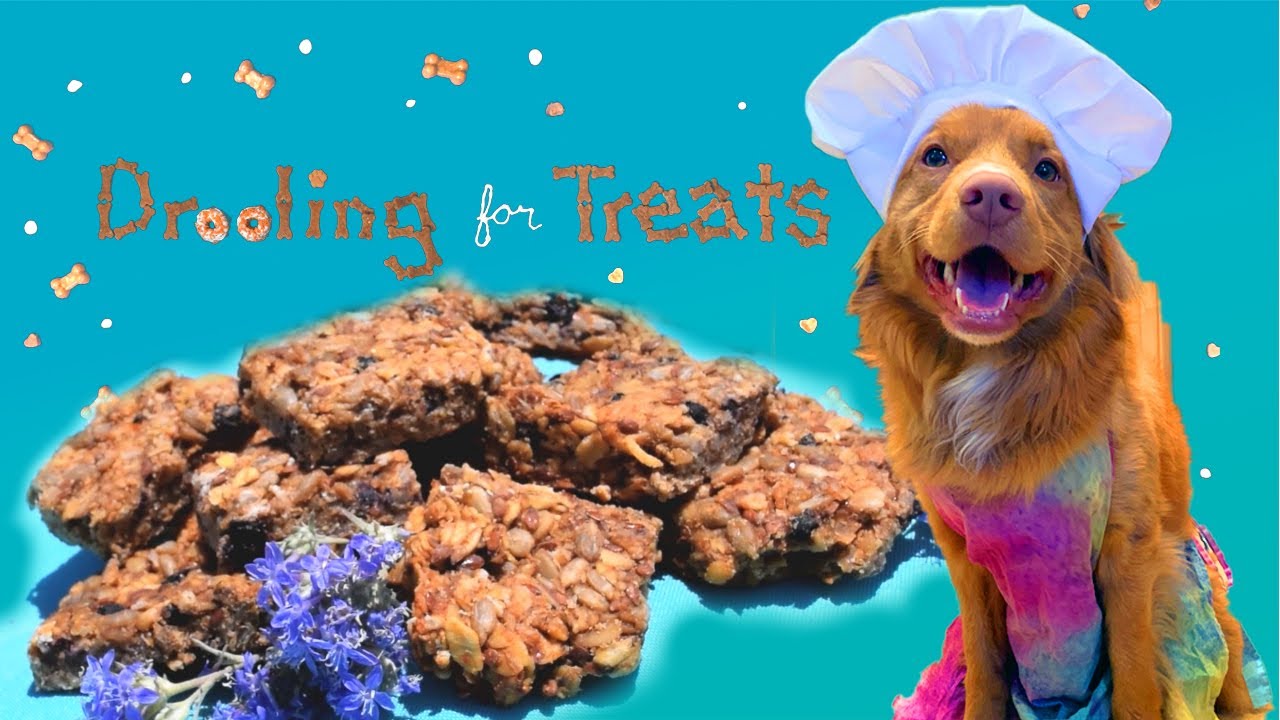 Drooling For Treats, Granola Bars for dogs