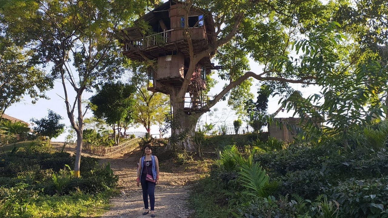 Tenzing Bodosa l Tree House l Dimakuchi Udalguri, Bhutan Border. Sister's Gerden, North East India..