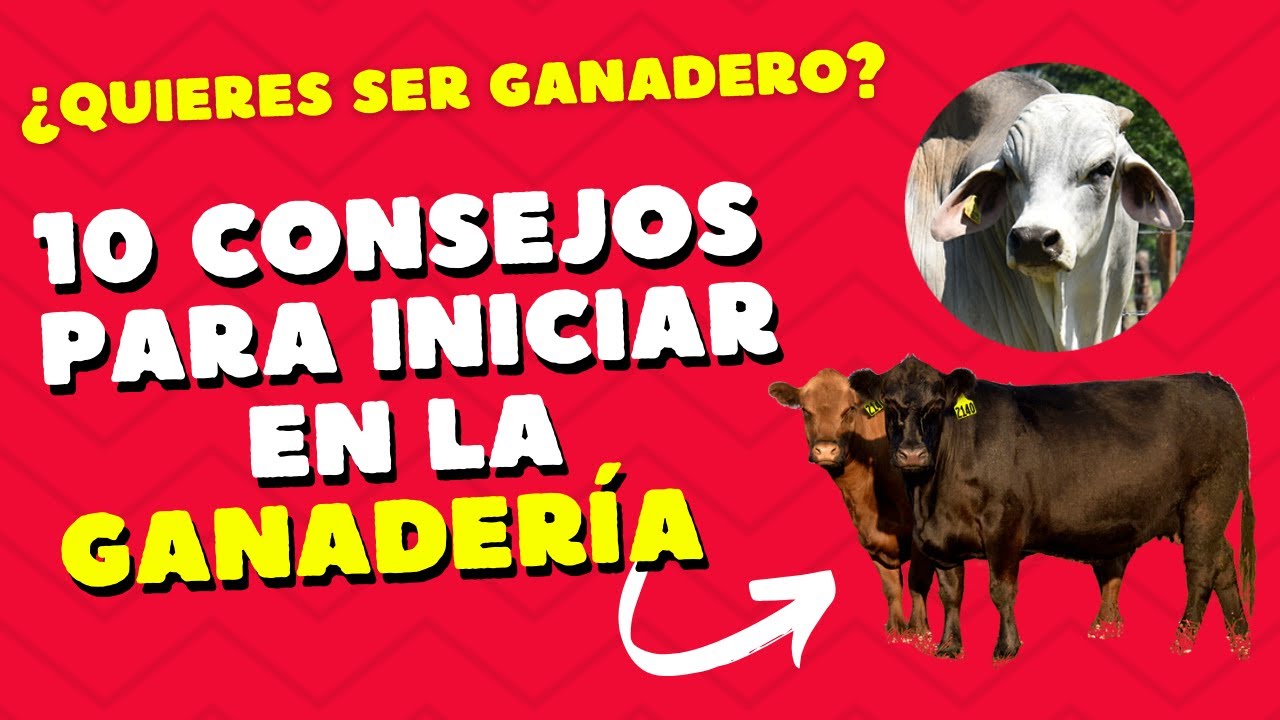 10 CLAVES PARA INICIAR EN LA GANADER&Iacute;A / GANADER&Iacute;A PARA PRINCIPIANTES / GU&Iacute;A PARA GANADEROS
