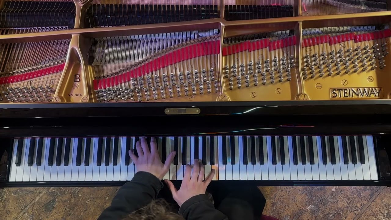 Excerpt from Rachmaninov Opus21 arr Volodos on Steinway Model B piano 573884