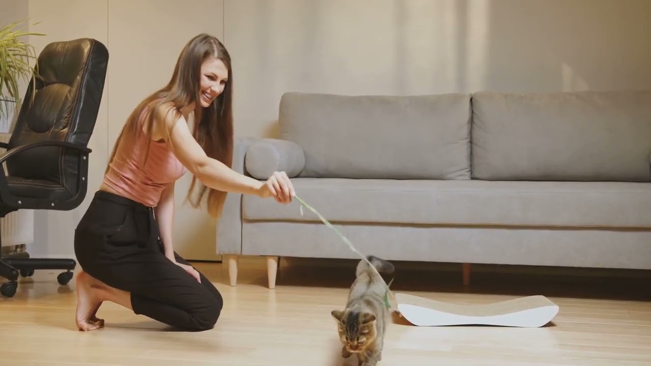 How My Cat Became My Lifeline 🐱❤️ #cat #catlovers #kitten #story