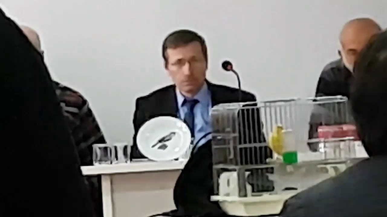 2017 İzmit Büllül Ötümlü Kanarya Yarışma 1. Murat NOKTA