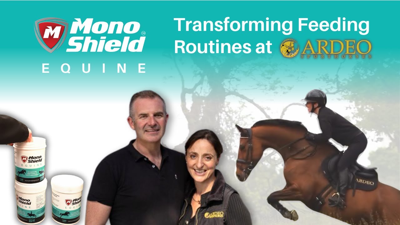 Transforming Feeding Routines at Ardeo Sport Horses