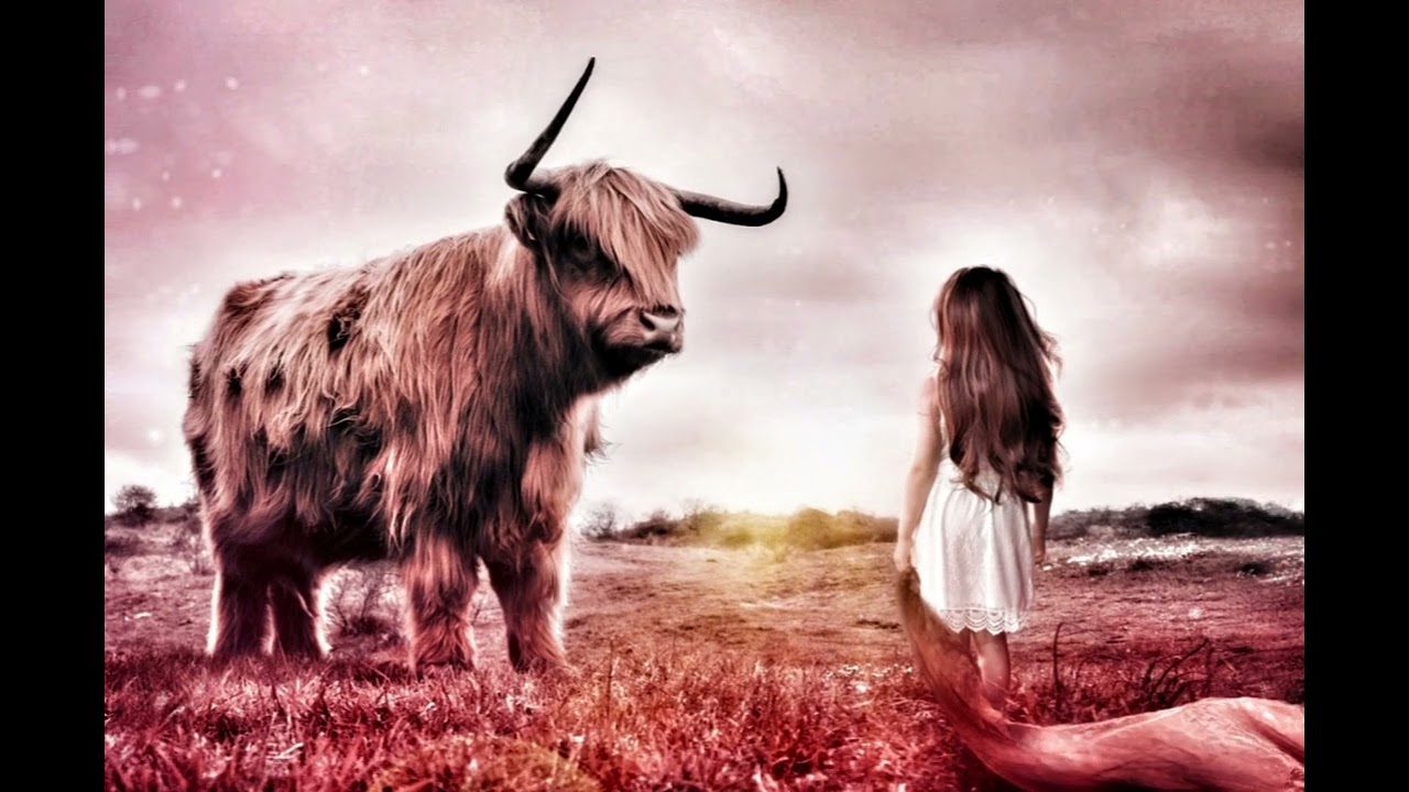 Back To The Hills - James Scott Skinner - Doris violin cover [home recording]