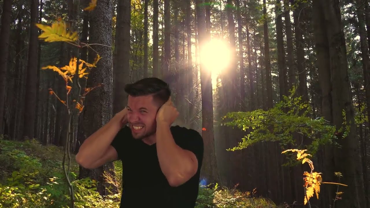 What The Sun Actually Sounds Like (The Answer is Terrifying)