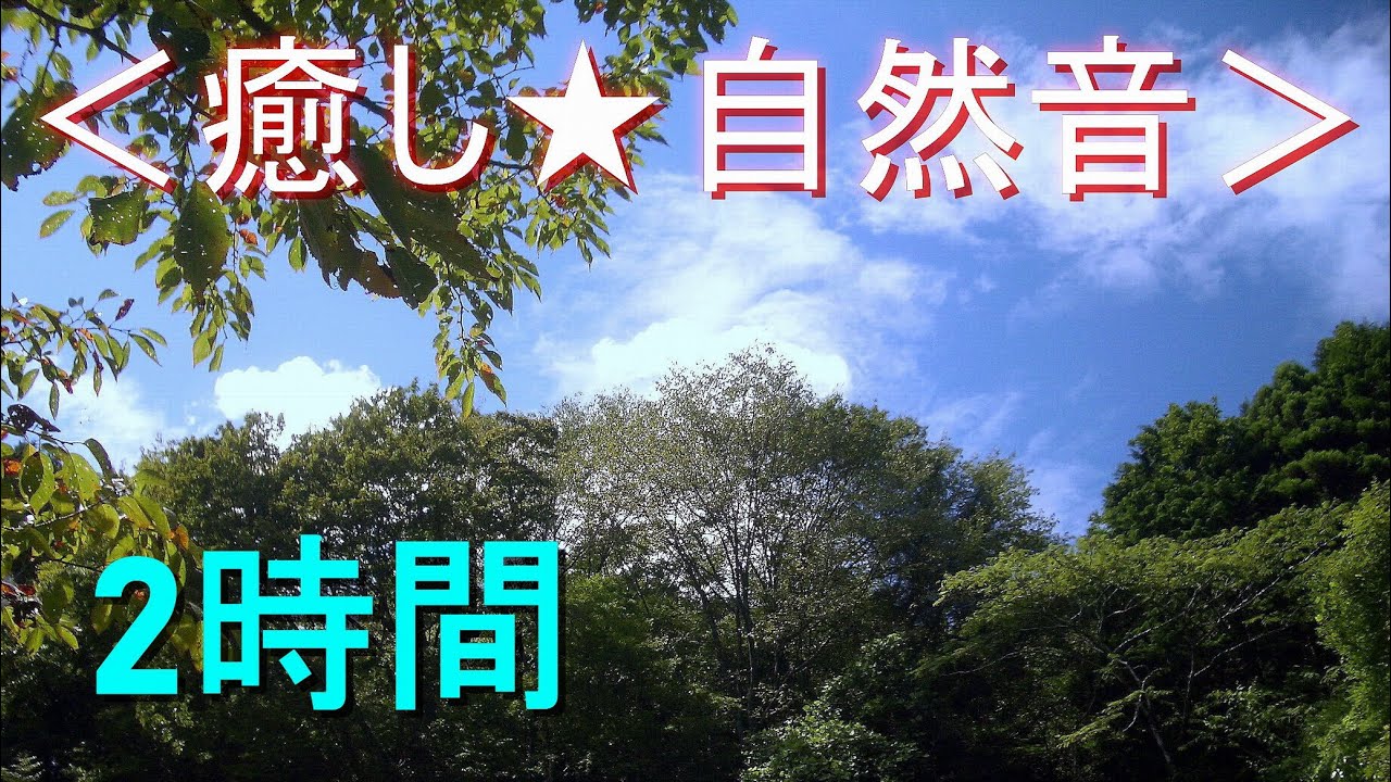 ＜癒し★自然音＞ミンミンゼミの鳴き声【2時間】セミが鳴く夏の森林（安らぎ・リラックス・リフレッシュ・ストレス解消）