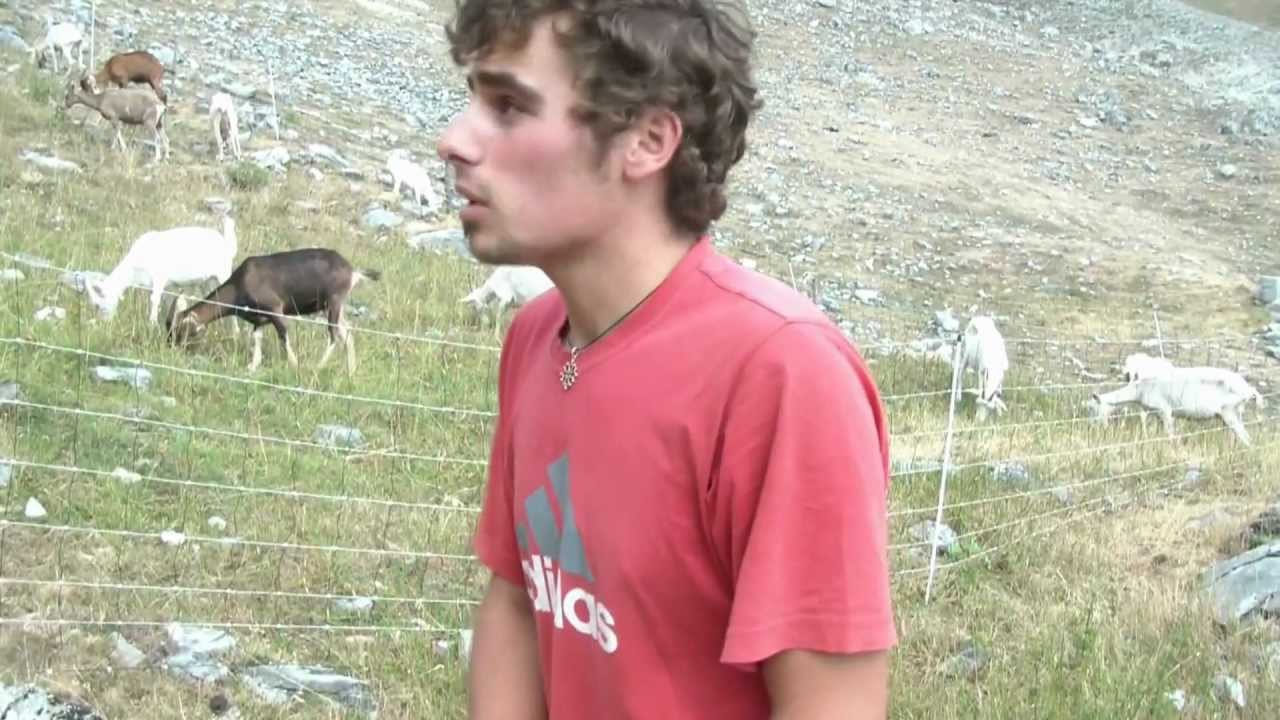 Federico: 20 anni, una passione enorme per gli animali. Vittima dei lupi