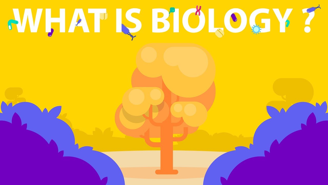Что такое биология?