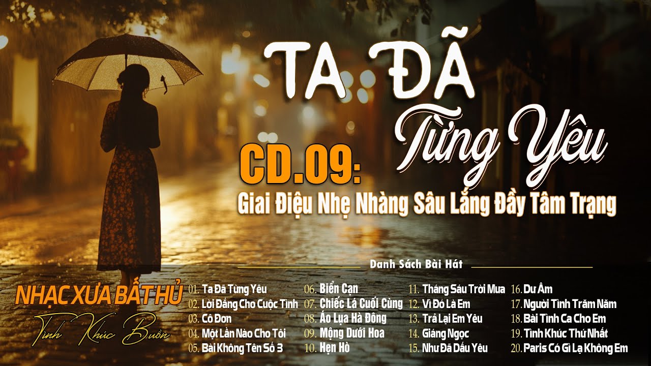 CD.09 Tình Khúc Buồn : Ta Đã Từng Yêu | Giai Điệu Mưa Nhẹ Nhàng Sâu Lắng Chất Chứa Đầy Tâm Trạng