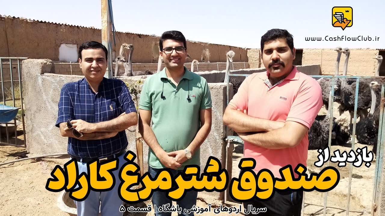 بازدید از صندوق شترمرغ کاراد | سرمایه گذاری در کسب و کار پرورش شتر مرغ | مزرعه جوجه کشی شتر مرغ