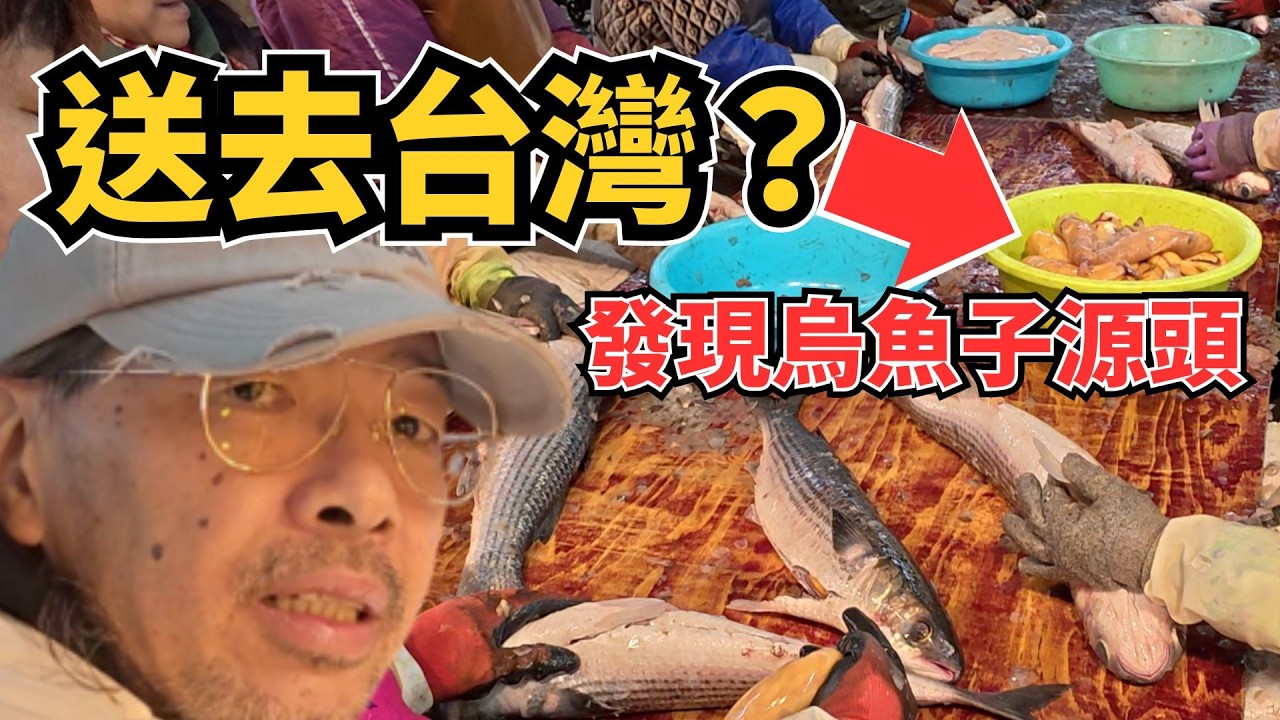 台灣烏魚子的源頭？我在福州看到烏魚卵被取出...目的地是台灣？#福州馬尾＃海峽水產品交易中心