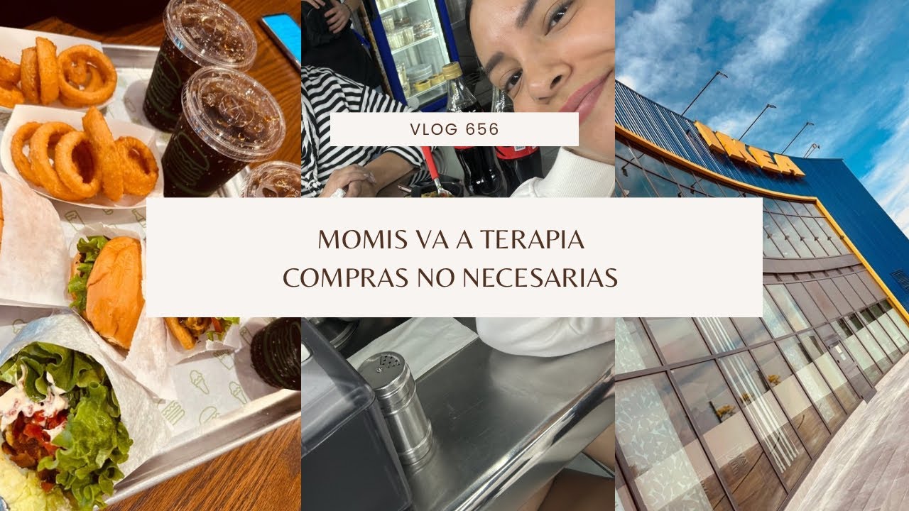 VLOG 656/ MOMIS VA A TERAPIA/COMPRAS NO NECESARIAS