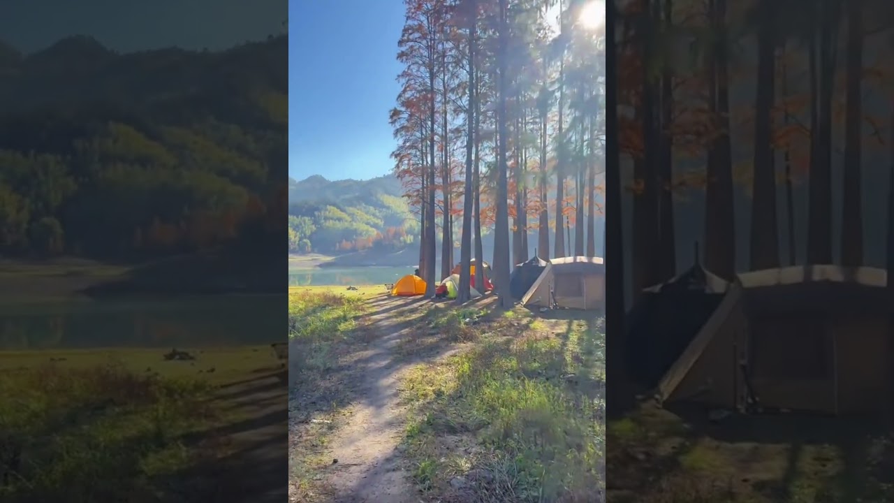 Camping View #camping #campinglife #rivercamping #riverview #riverside #river #forestcamping #nature