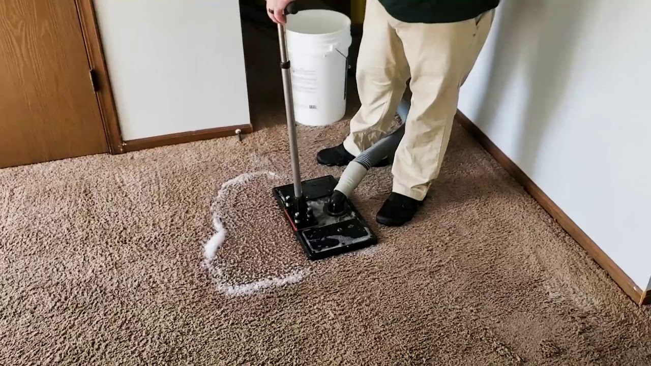Is it possible to get pet odor and stains out of your carpet pad?