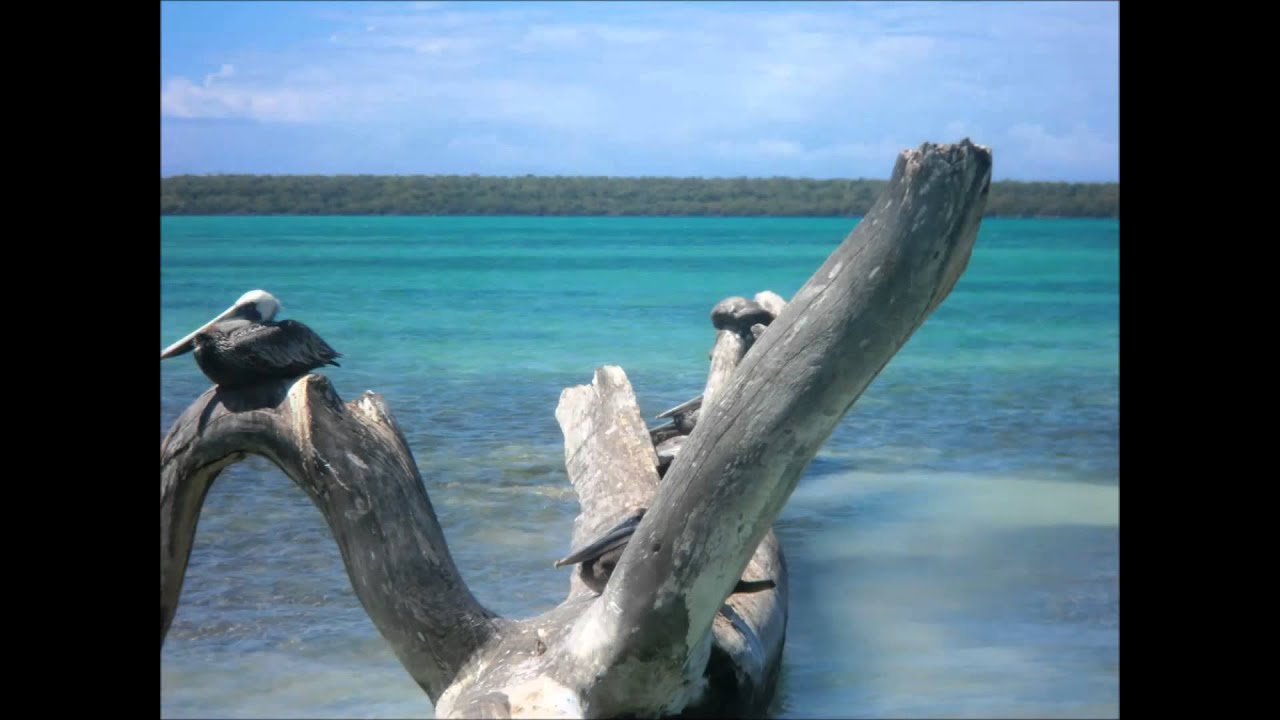 Andy`s VIP-TOUR  Sosua - Isla Saona