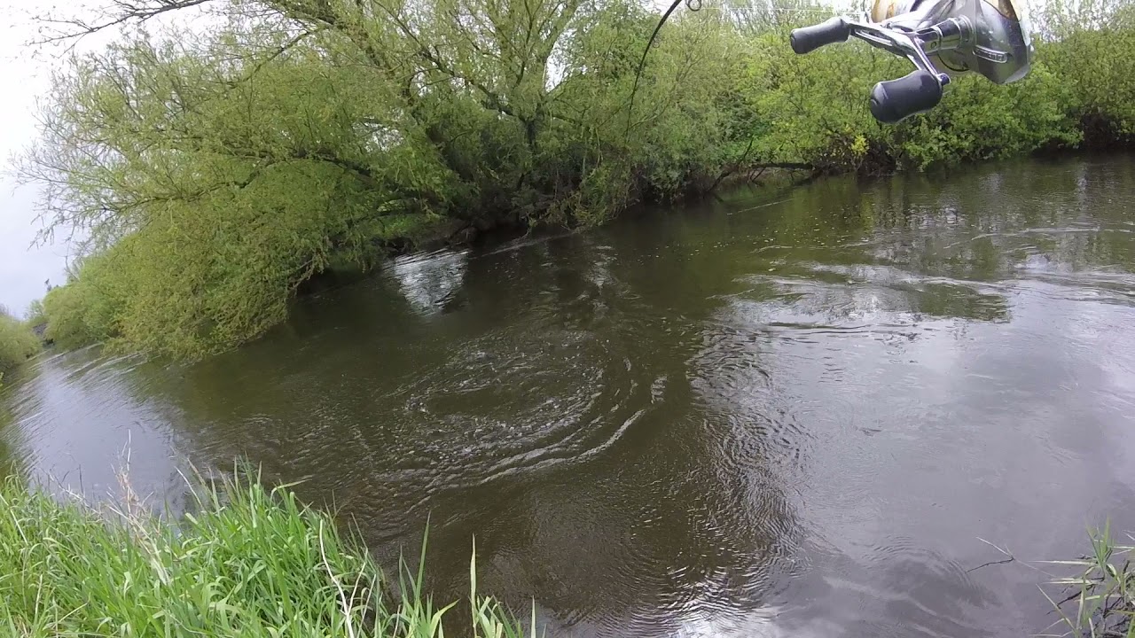 Irish salmon angling