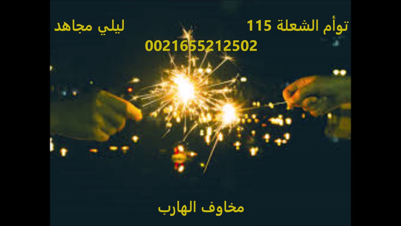 توأم الشعلة 115   ---  مخاوف الهارب