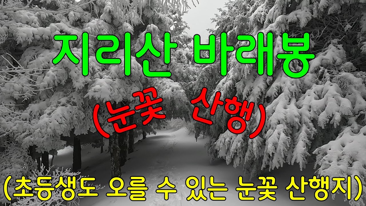 지리산 바래봉 눈꽃산행ㅣ바래봉~팔랑치ㅣ등린이 추천 눈꽃 산행지ㅣ 바닷가 차박_일출
