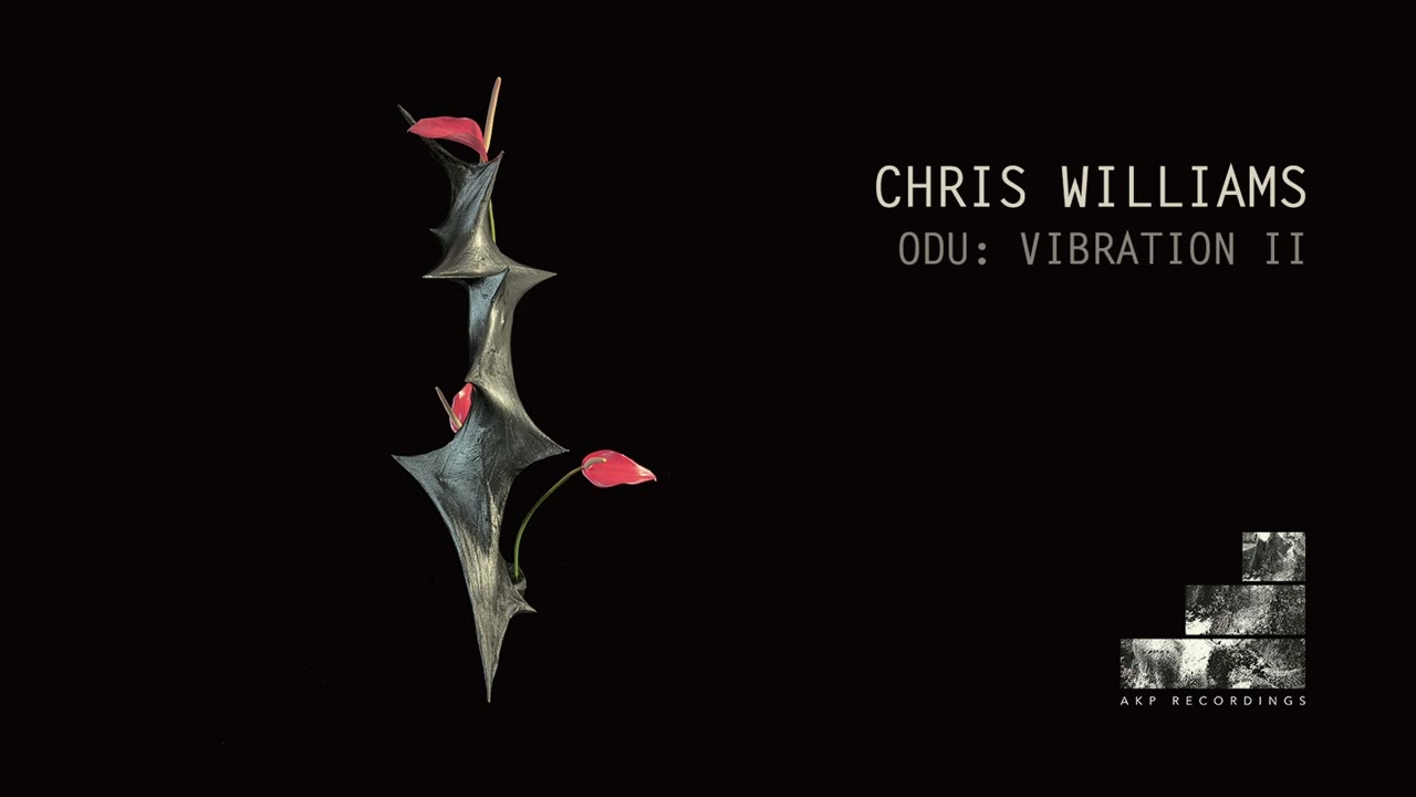 Chris Williams - Moon
