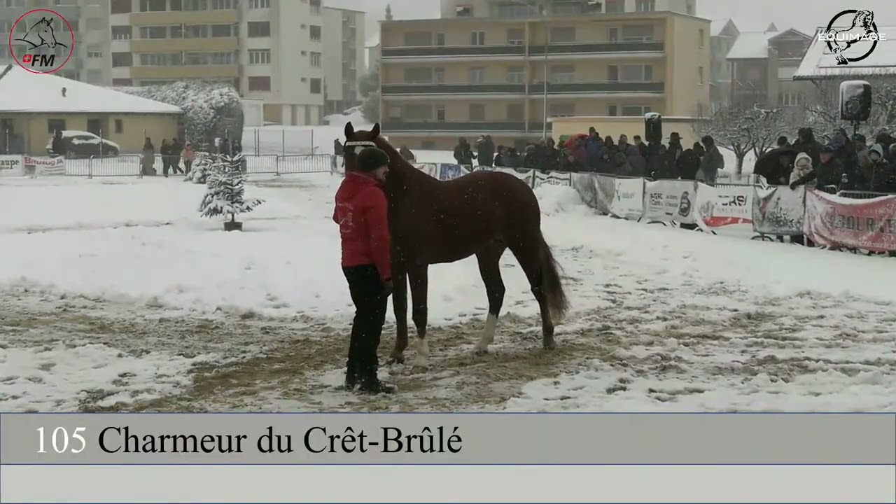 SNEG / NHSG 2026 - après-midi / Nachmittag