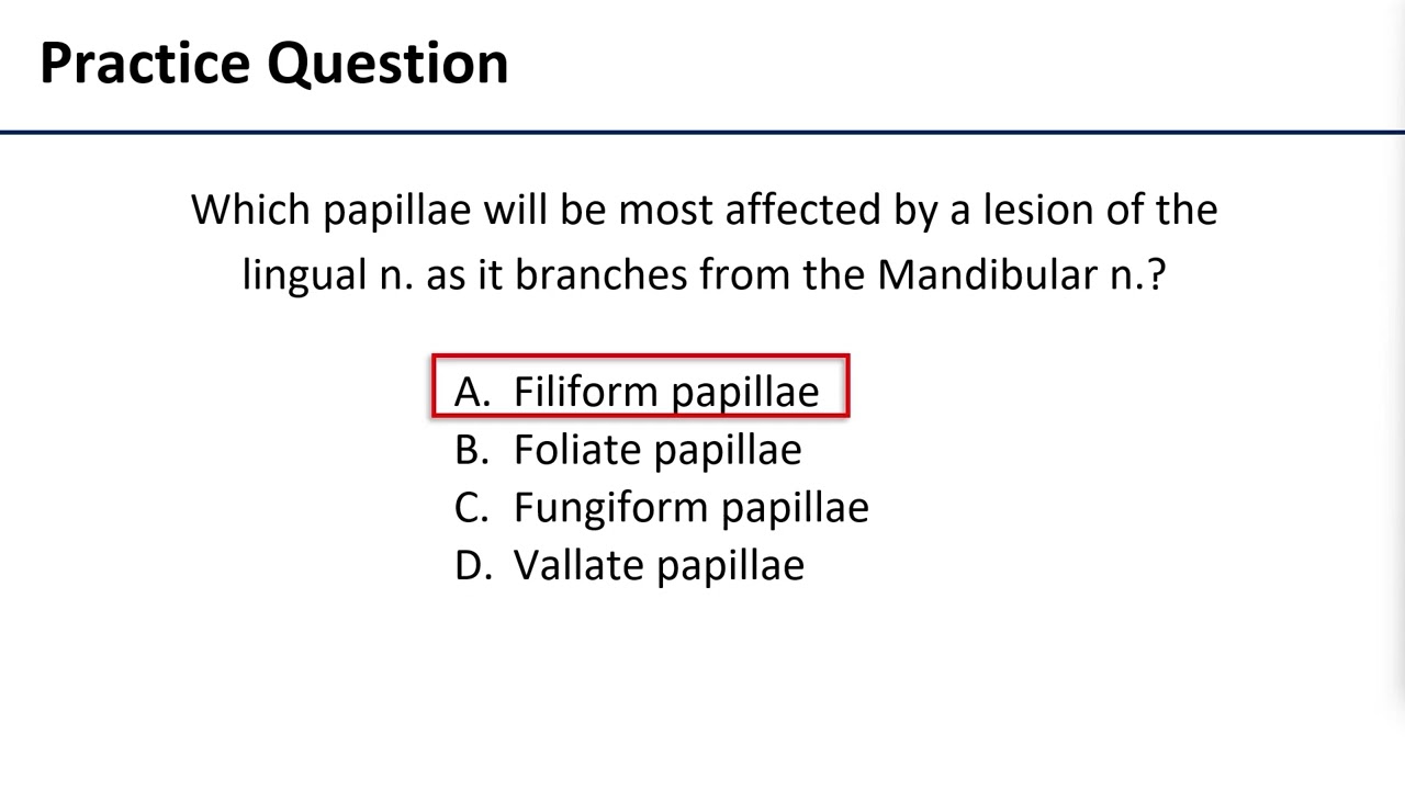6 Papillae of Tongue
