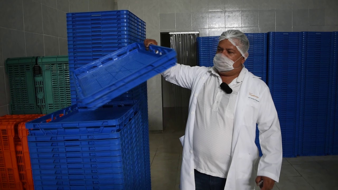 Pulpa de guanábana procesamiento, soursop pulp industry