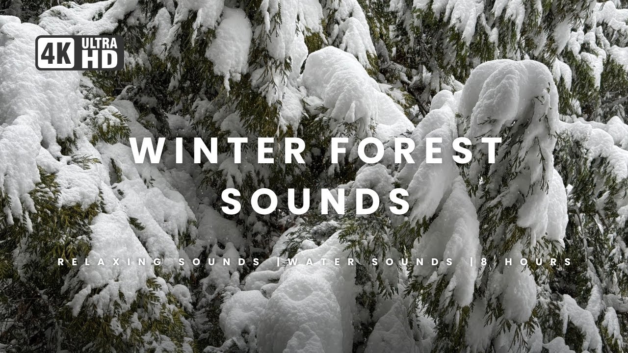 Tranquil Winter Creek Soundscape for Relaxation | 8 Hours of Snow Falling | Ambient Sound