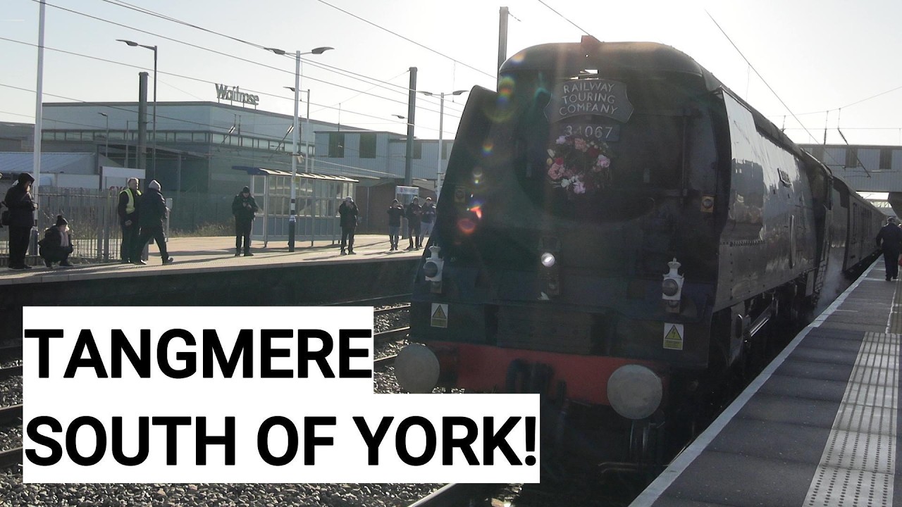 Tangmere with The Valentines White Rose