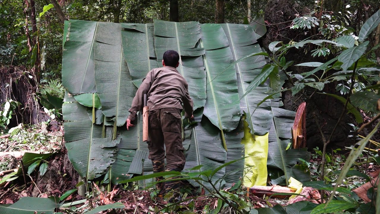 Without food and water, build shelter | LIVING OFF THE GRID | Episode 12