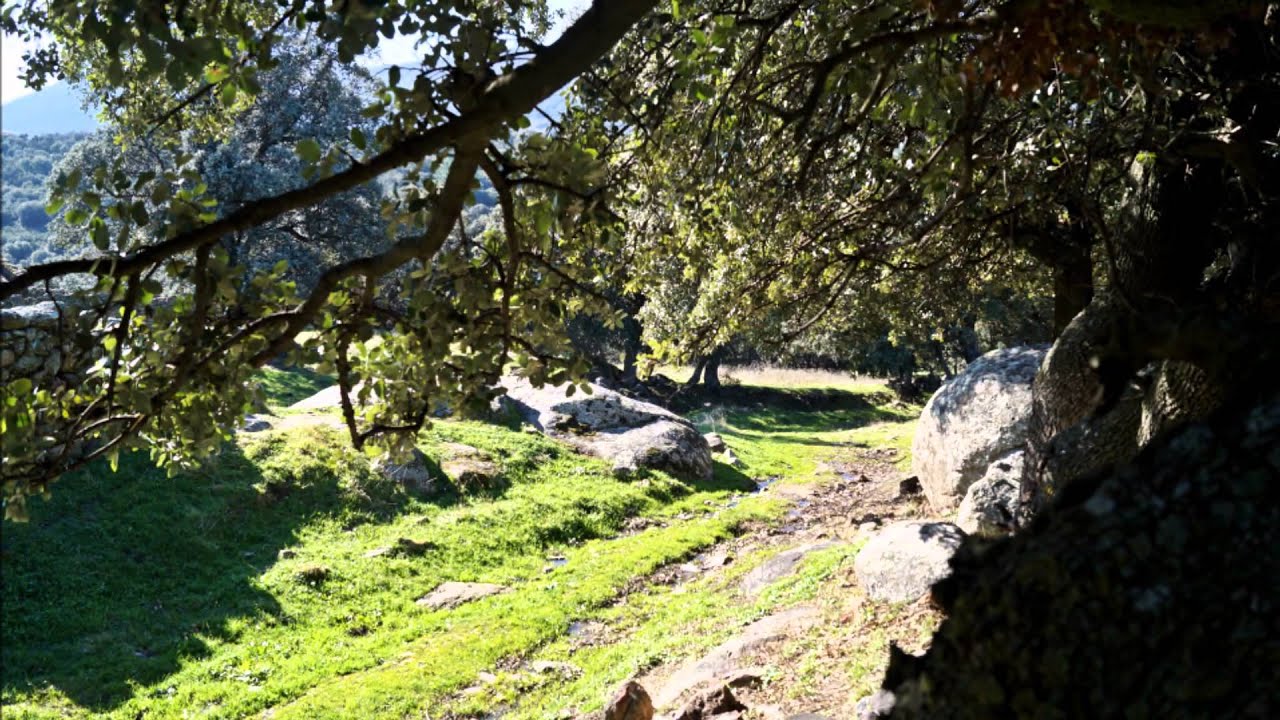 POR LOS MONTES DE TOLEDO ( HONTANAR )