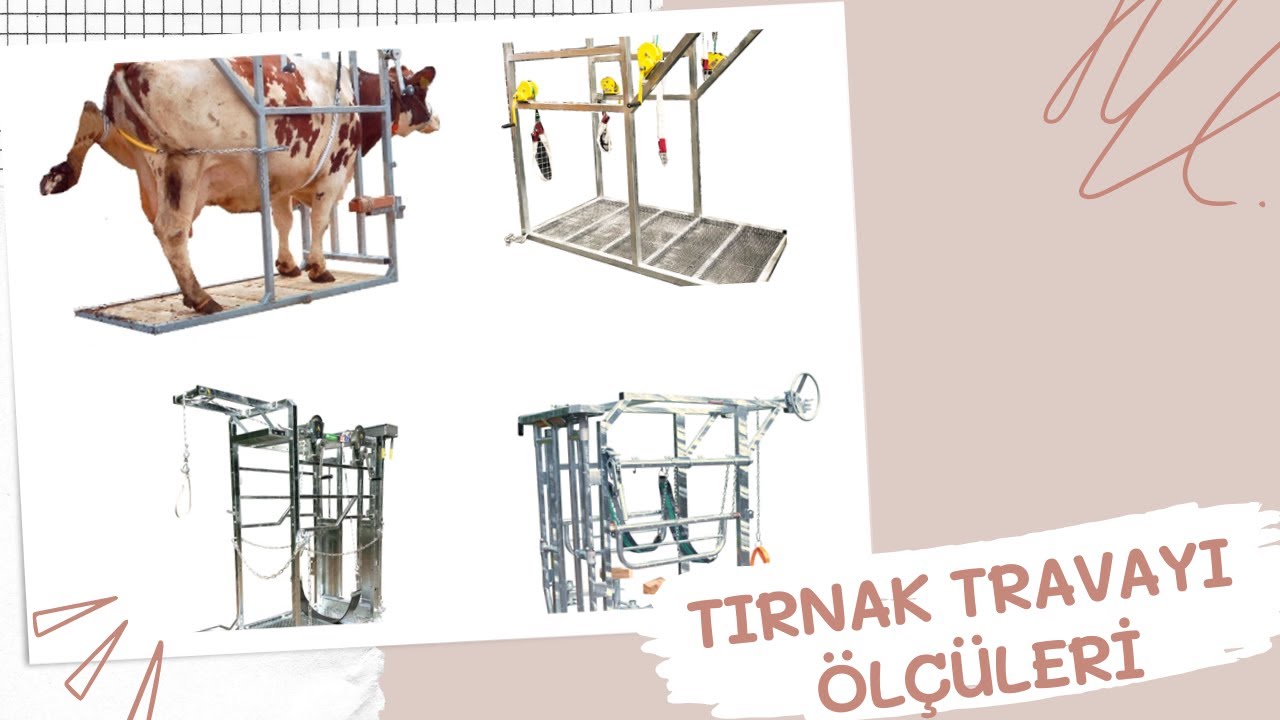 inek tırnak travayı ölçüleri / inek tırnak bakım makinesi ölçüleri