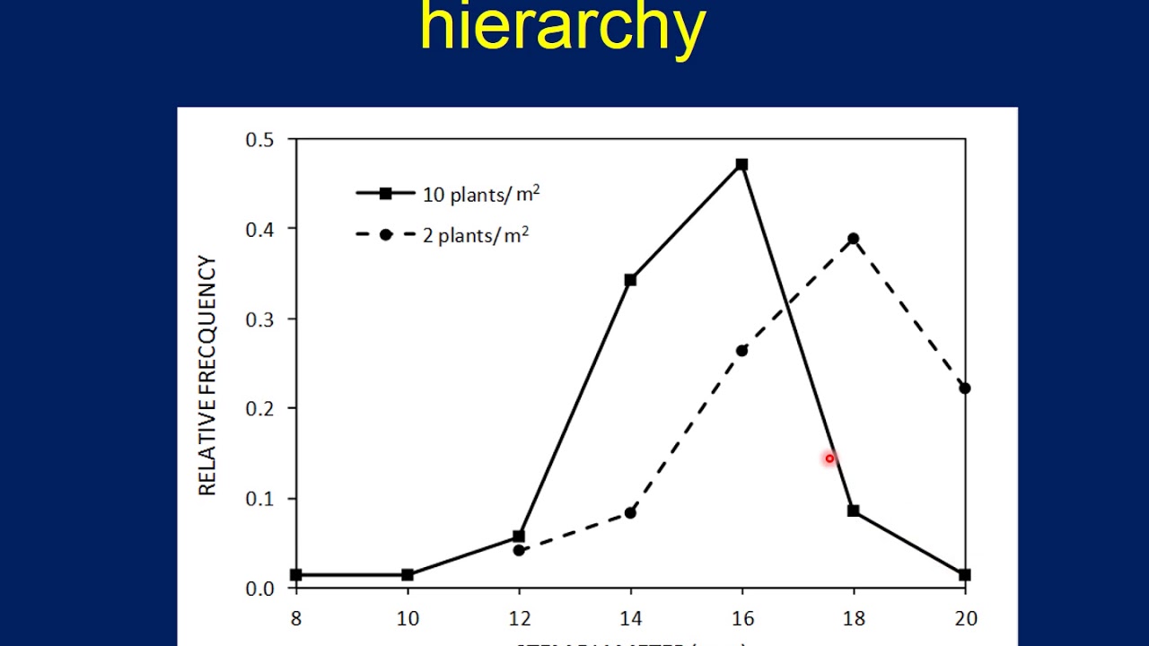 Lecture Crop productivity and plant density