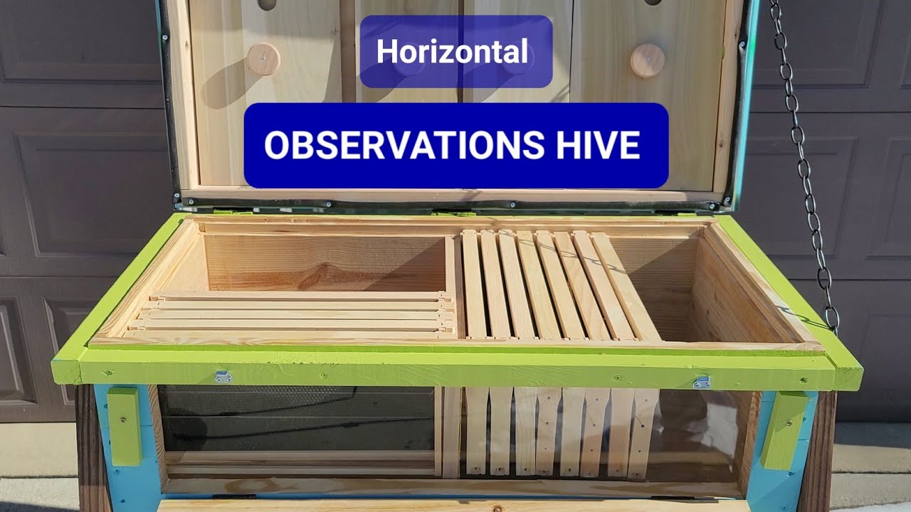 Horizontal Hive Build Observation Hive 