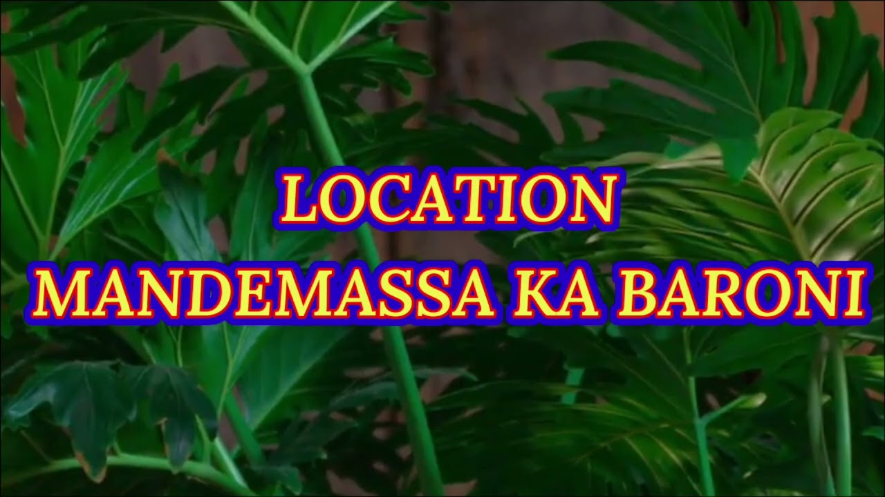 Location louance épisode 61 Baroni 