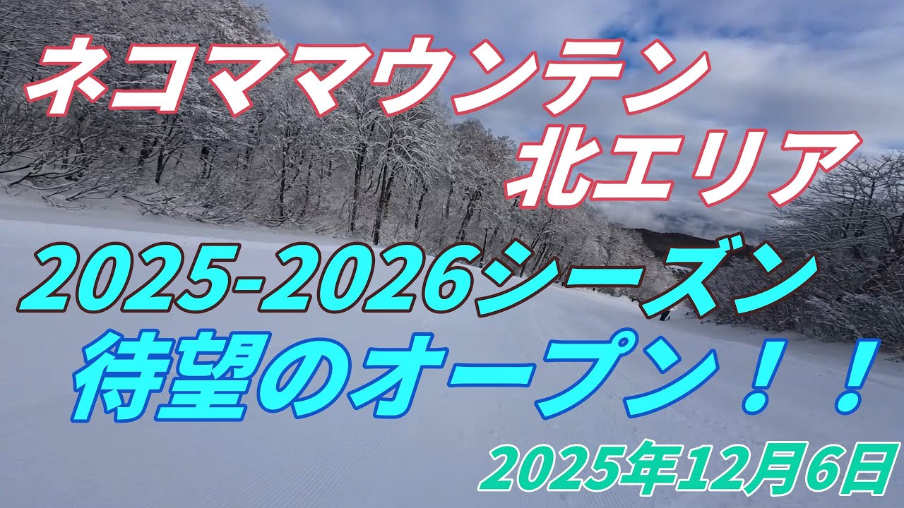 2025年12月6日 ネコママウンテン北エリア オープン
