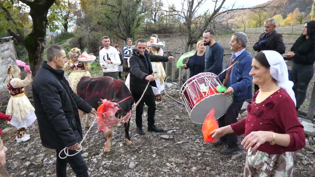 Jemi tek Imer Elqeni Mal Vilez ...motrat në valle me viç  (p. dyte)