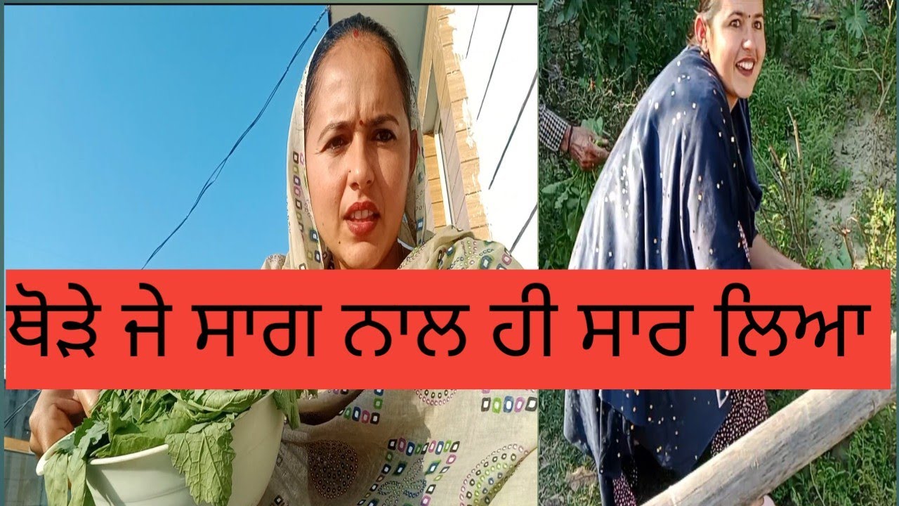 ਹਰਿਆਣਵੀ ਪੰਜਾਬੀਆਂ ਦੀਆਂ ਗੱਲਾਂ ਸੁਣ ਕੇ ਬਹੁਤ ਖੁਸ਼ ਹੁੰਦੇ ਆ... ਨਾਲੇ ਤਾਂ ਘਰ ਦੇ ਕੰਮ ਕਰਲੇ ਨਾਲੇ ਹੱਸ ਖੇਡ  ਲਏ