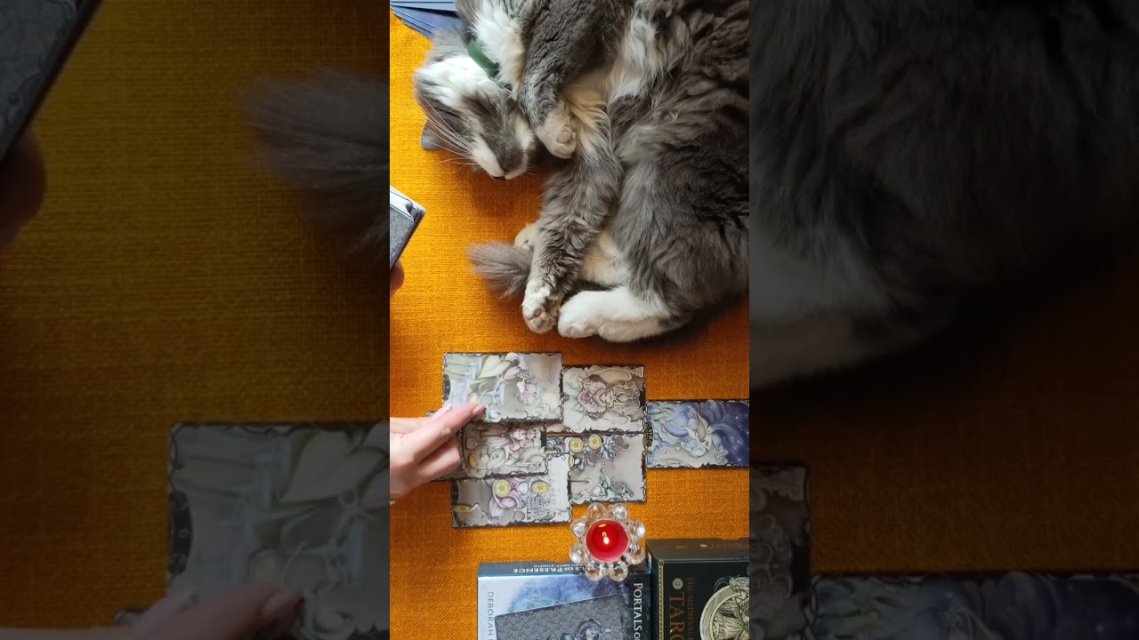 ПРИЯТНЫЕ СОБЫТИЯ УЖЕ НА ПОРОГЕ