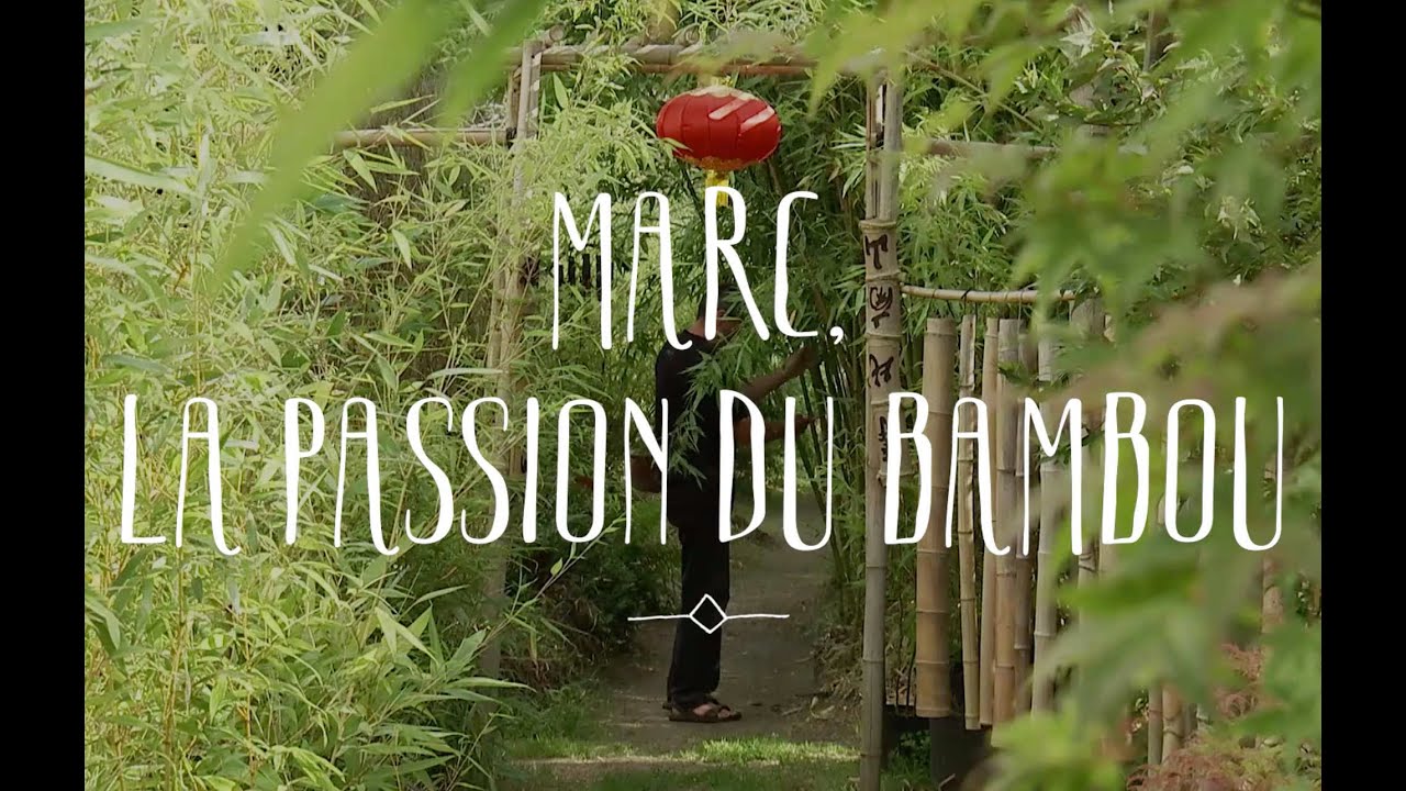 Marc, la passion du bambou