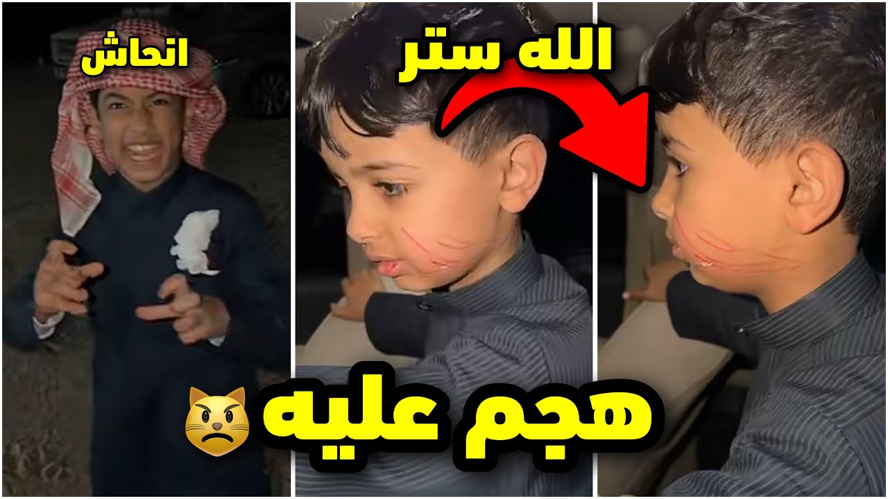 نمر هجم عليه قطو😰الله ستر ! احمد انحاش #فراج_قزيع_السهلي 