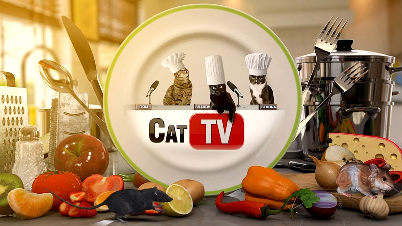 КОТ-игры | «Кататуй»: крысы, кулинарные драки и кухонный хаос! 🐁🍔🌮🥗🍕
