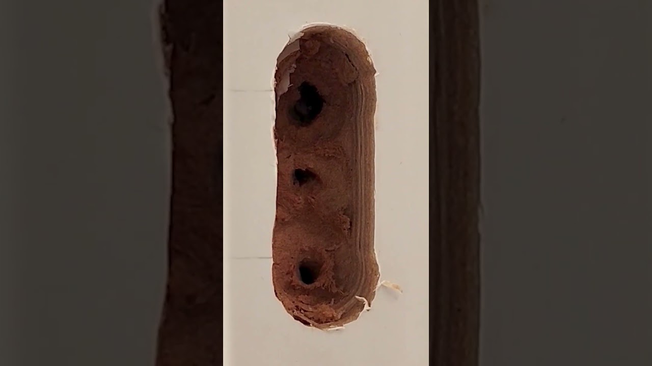 Как потерять 250 тыс пытаясь сэкономить 10. #межкомнатныедвери #установкамежкомнатныхдверей