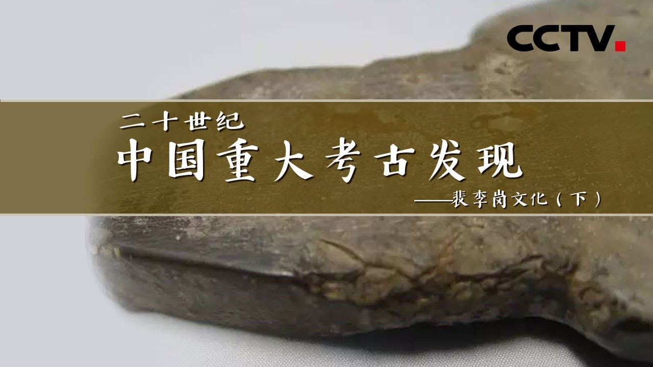 《二十世纪中国重大考古发现》第五集 裴李岗文化（下）| CCTV纪录