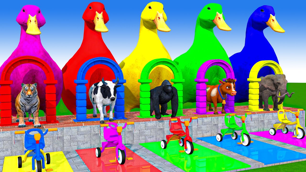 Long Slide Game with Cow Elephant Gorilla Hippopotamus Tiger 3d Animal Game Funny 3d Animals