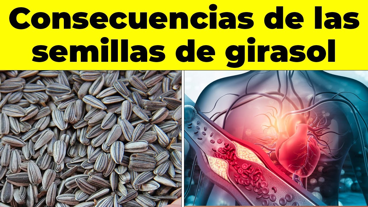 REVELADO! Consecuencias de comer semillas de girasol crudas en tu cuerpo