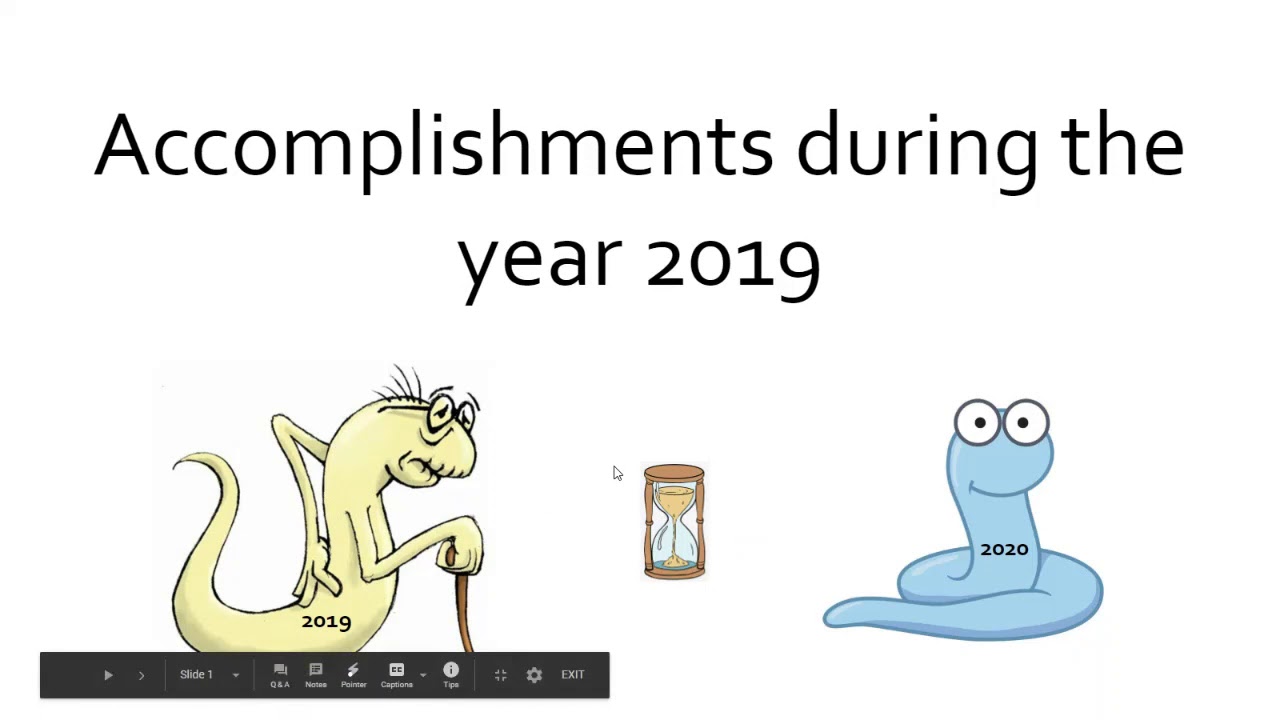 DevoWorm (2020, Meeting 1): Recap of 2019 (and project) and new directions