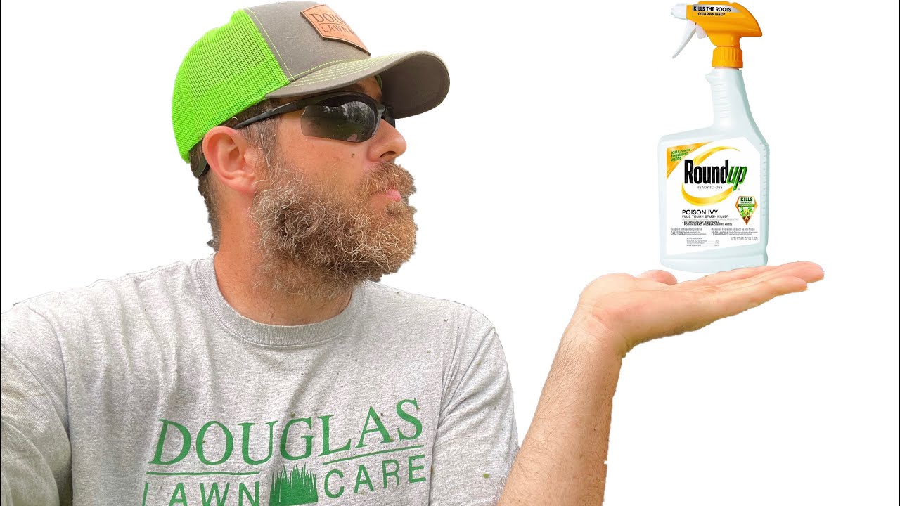 Roundup Poison Ivy Killer Review. Best Poison Ivy Killer?